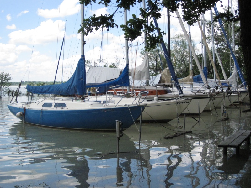 hochwasser2013-20.jpg